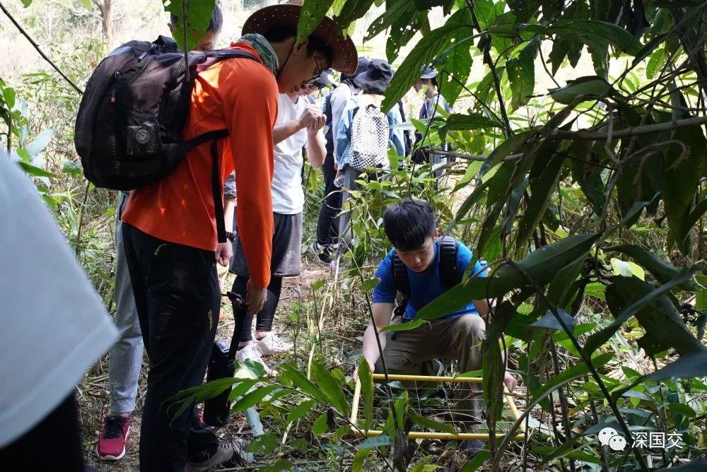 学生物，先去泰国原始丛林体验吧！ 深国交 学在国交 户外 第6张