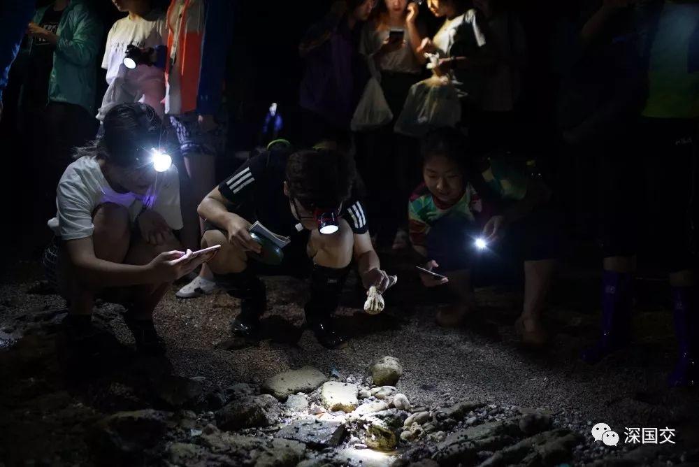 学生物，先去泰国原始丛林体验吧！ 深国交 学在国交 户外 第23张