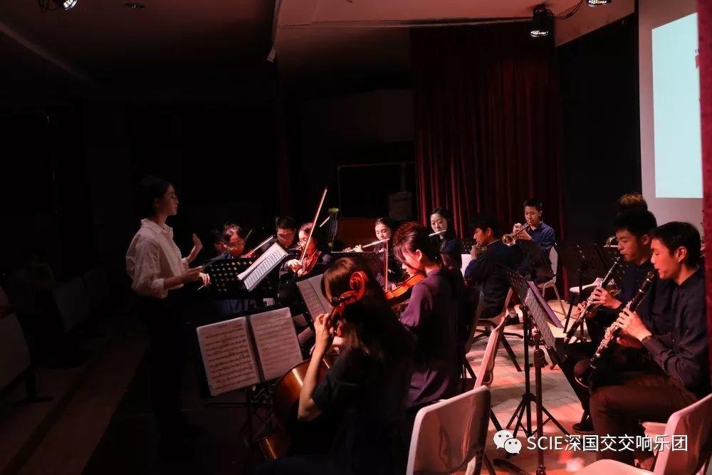 SCIE Orchestra | 寻找失落的音符 -- 深国交交响社2019招新！ 深国交 学在国交 深国交交响社 第10张