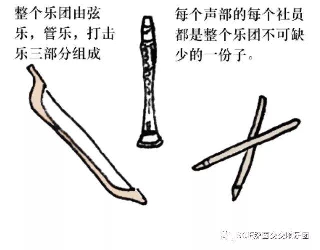 震惊！国交乐团团长竟然... 深国交 学在国交 深国交交响社 第9张