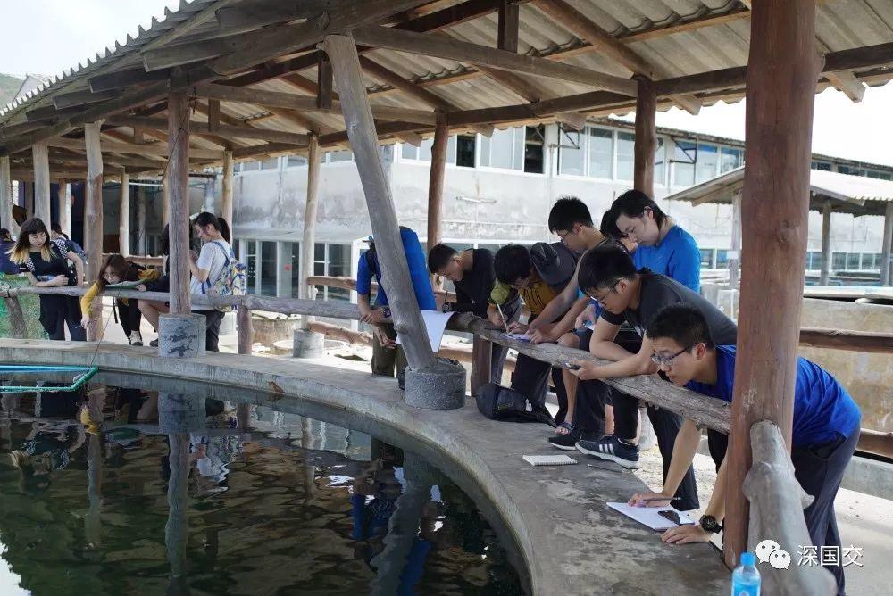 学生物，先去泰国原始丛林体验吧！ 深国交 学在国交 户外 第30张