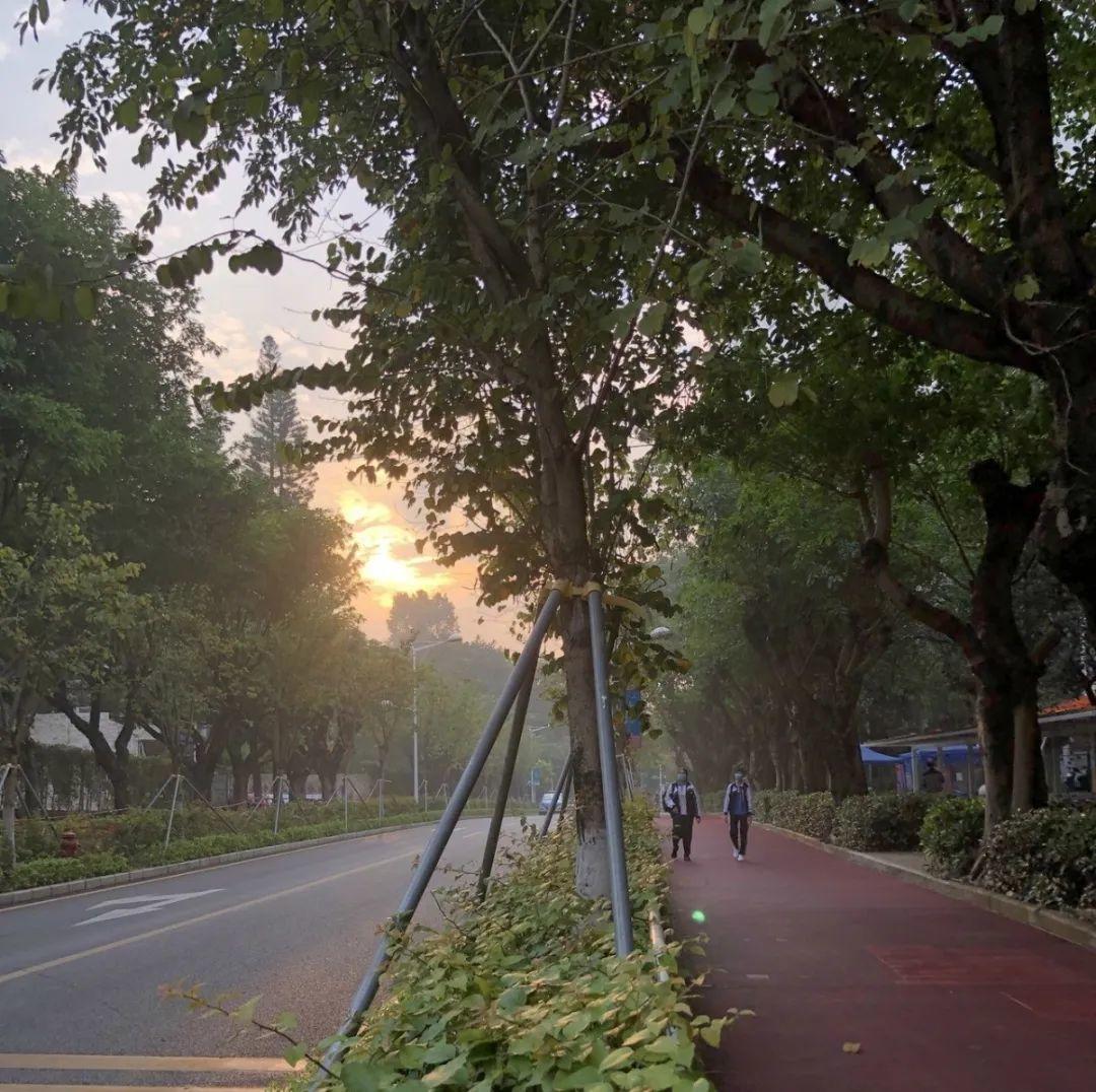 深圳开学｜多图直击疫情后高三初三开学第一现场（2020.04.27）  疫情相关 第28张