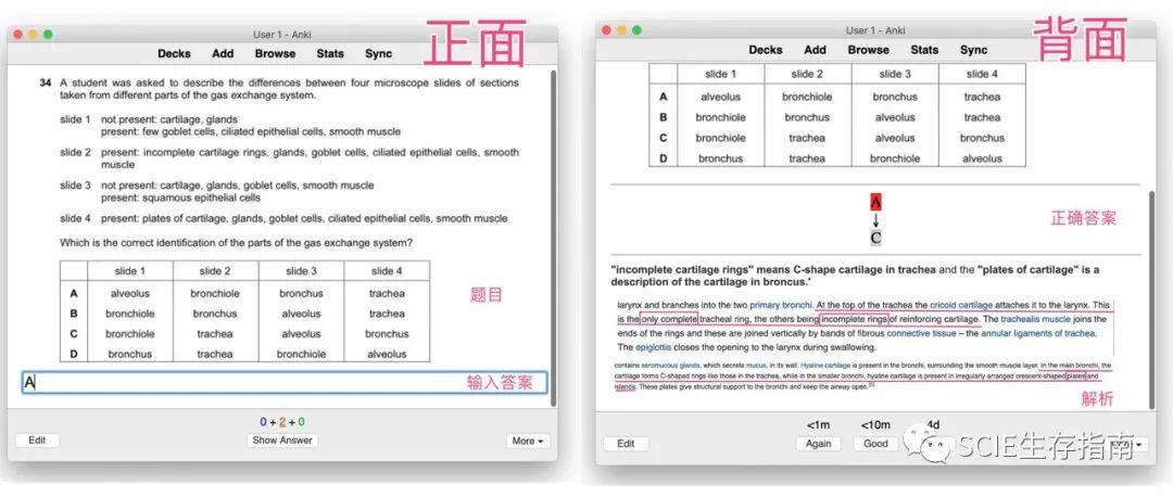 又要期末考试啦！！！福利放送 -- 深国交学姐出品的强大备考指南  学在国交 深国交 深圳国际交流学院 第23张