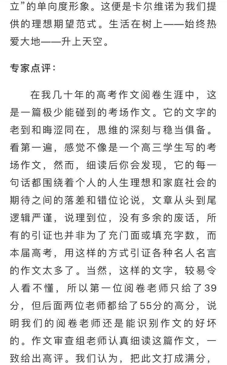 浙江高考满分作文因太晦涩难懂被打39分，阅卷专家：不建议模仿  PPE 第5张