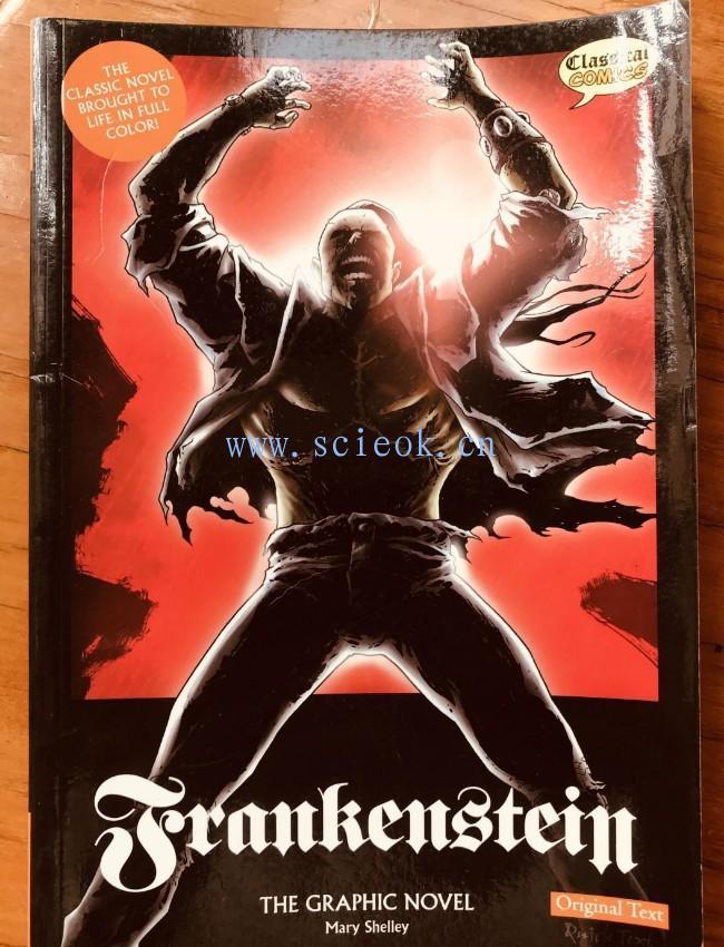 Frankenstein the Graphic Novel: Original Text: US Edition