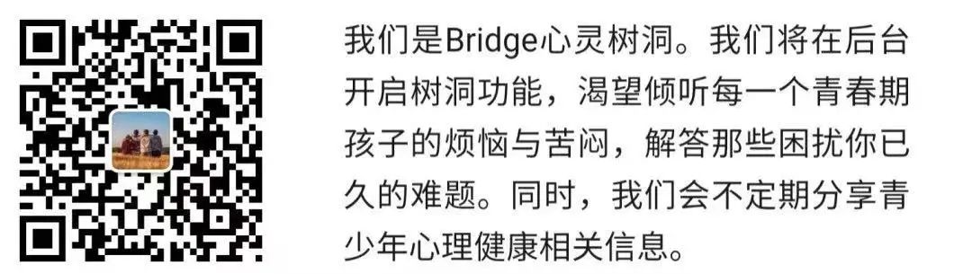 深国交公益社团宣传合作|Bridge心灵树洞——“一次全新的尝试”  深国交 深圳国际交流学院 深国交公益社 第8张