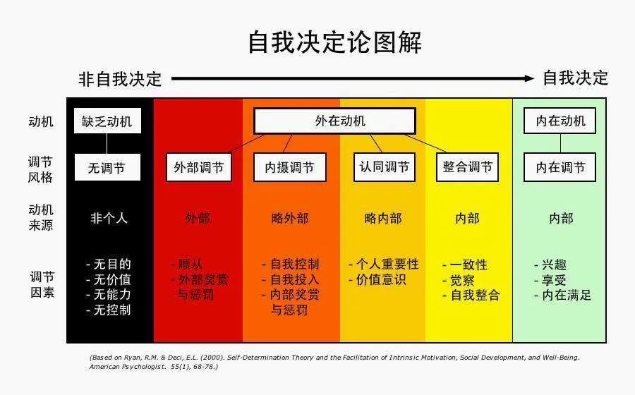 应试教育or素质教育？中产教育的陷阱，费尽一切养了个“城市做题家”  国际化教育理念 第4张