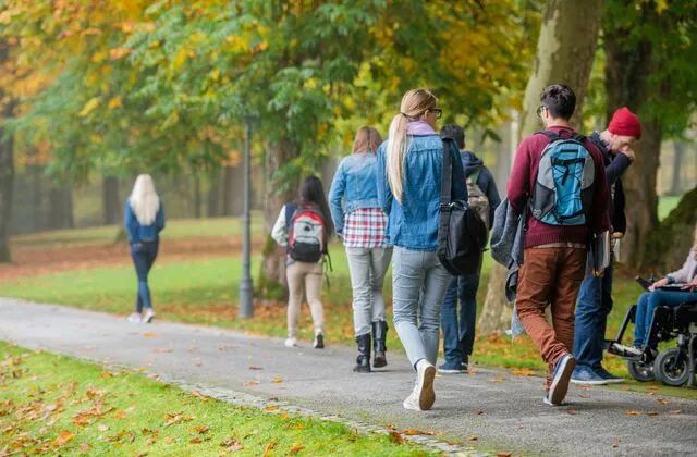 美国大学国际生人数回升，但中国留学生总体人数下降9%！  数据 留学 第9张