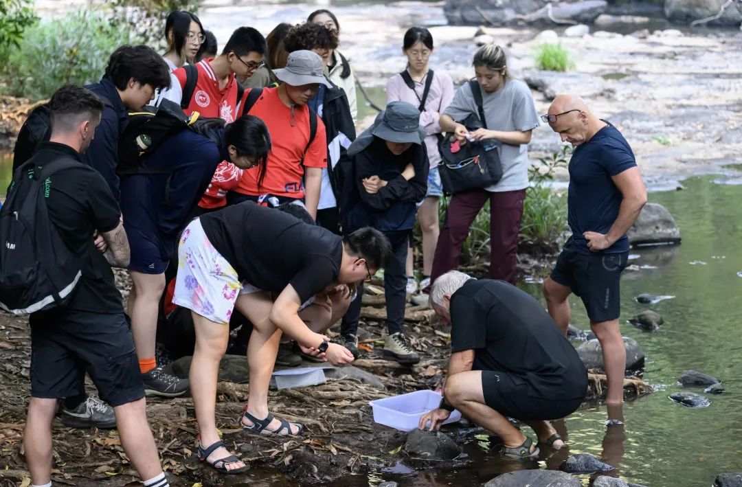 在深国交，感知教育的温度，体验成长的力量  深国交 深圳国际交流学院 第6张